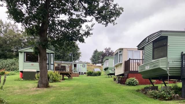 Caravans lined along a grassy path, surrounded by trees and greenery at Westfield Farm Caravan Park.