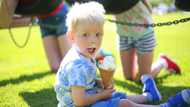 Brymor Ice Cream Parlour - Masham - Ice Cream Shops in masham