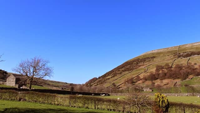 Rolling green hills under a clear blue sky, with dry stone walls and a tree in the foreground.