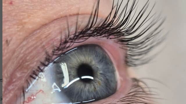 The Little Brow Room - Beauty Salons in scarborough