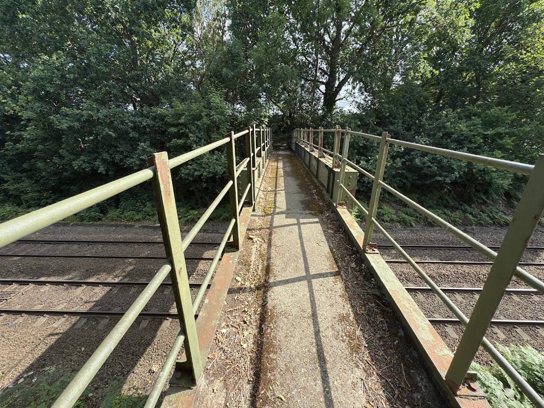 Oakenshaw Wood Railway Footbridge