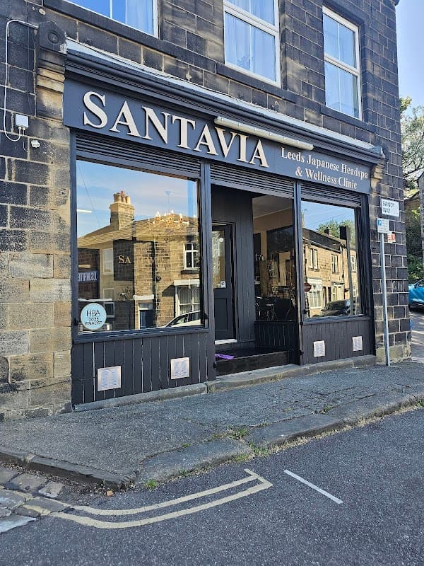 SANTAVIA HEADSPA