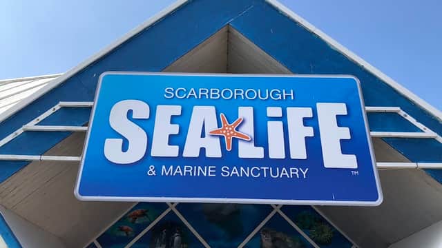 SEA LIFE Scarborough - Aquariums in scarborough