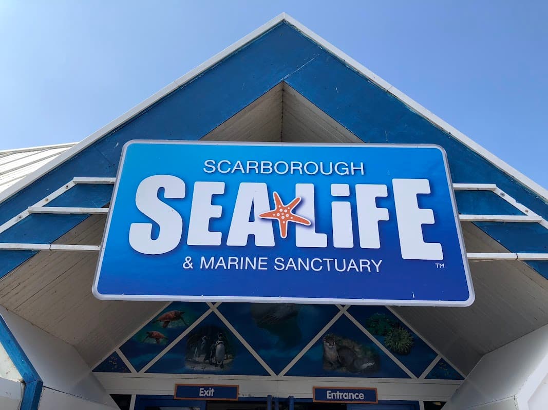 SEA LIFE Scarborough