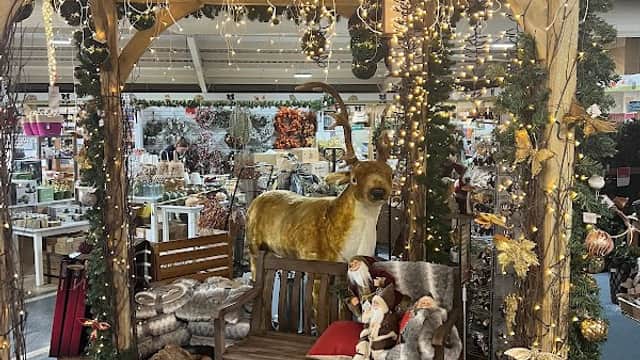 Notcutts Victoria - Homeware in featherstone
