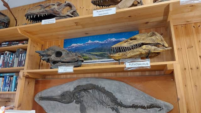 Yorkshire Coast Dinosaur and Fossil Museum - Gift Shops in robin hoods bay