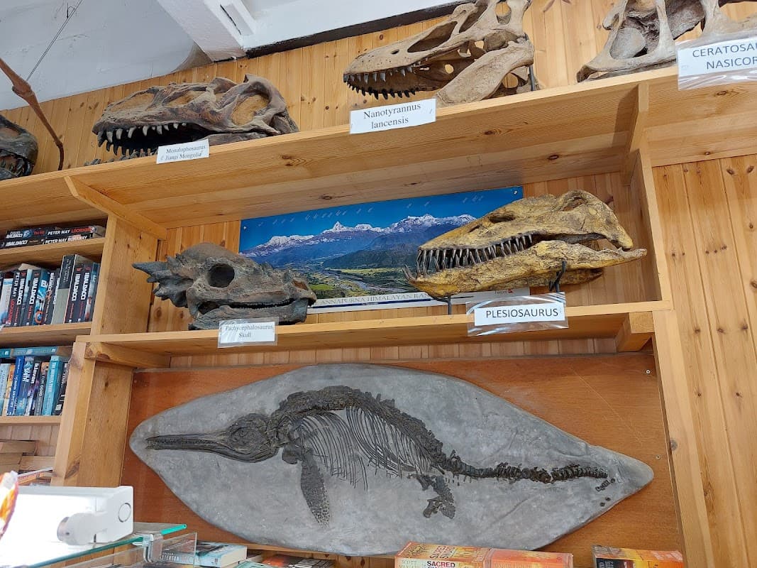 Yorkshire Coast Dinosaur and Fossil Museum