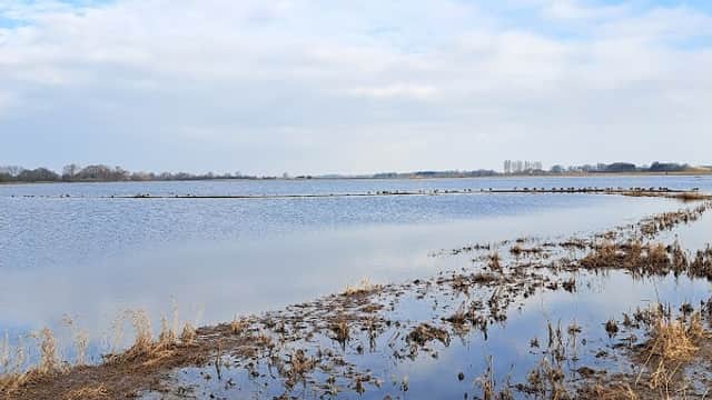 Serene waters reflecting a blue sky, bordered by marshy land and sparse vegetation at North Duffield Carrs.