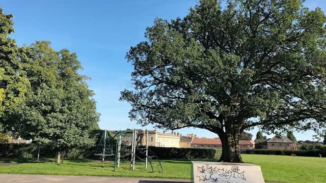 Children's playground with a large tree, climbing frame, and a skate ramp under a clear blue sky in Bedale, Yorkshire.