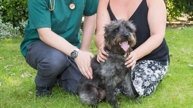Chantry Vets Castleford Veterinary Centre - Vets in castleford