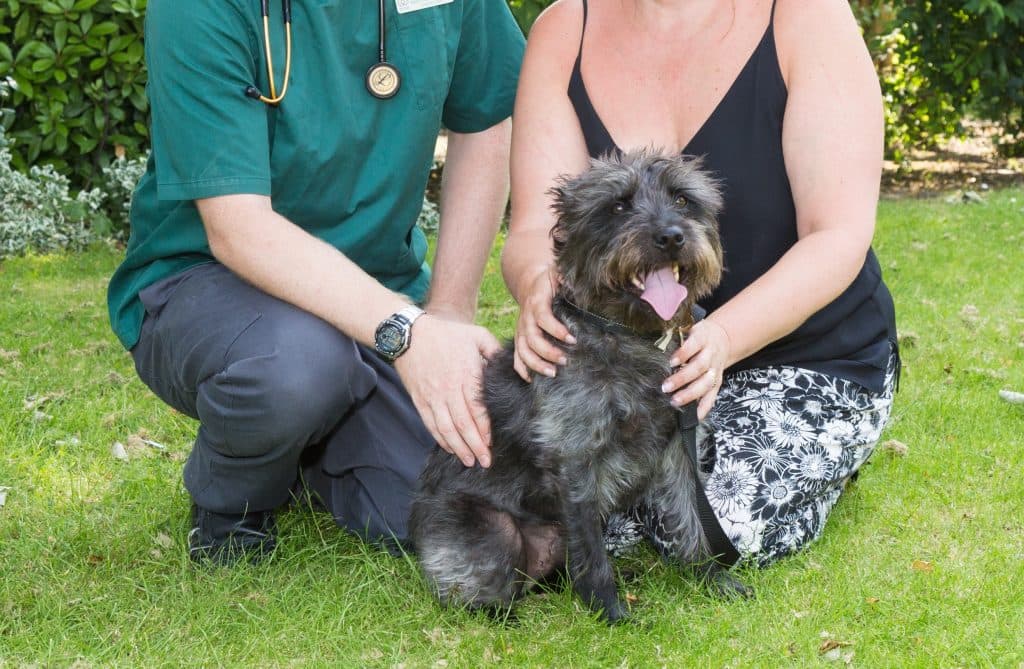 Chantry Vets Castleford Veterinary Centre