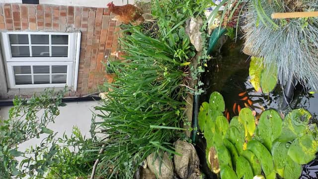 Accommodation at Jesmond House Vegan B&B in hull
