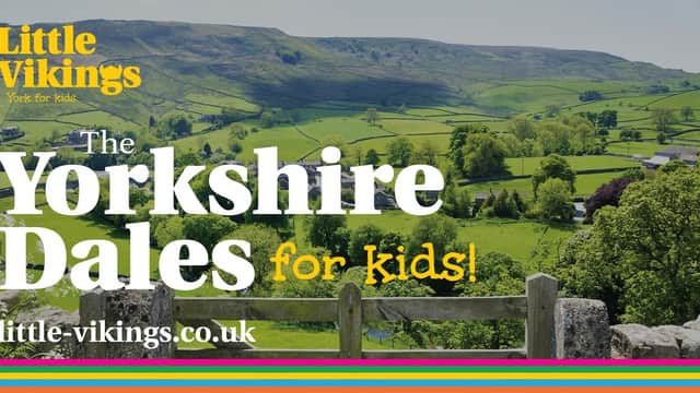 Little Vikings - Family Attraction in ripon