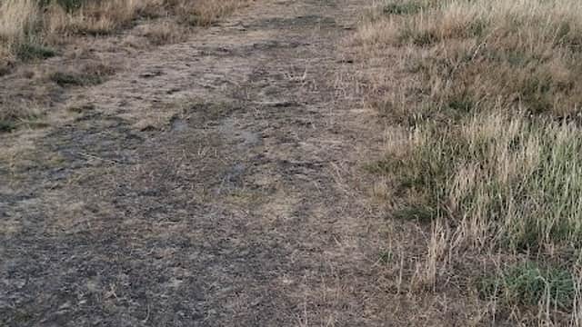 Transpenine trail - Walks & Hiking in wombwell