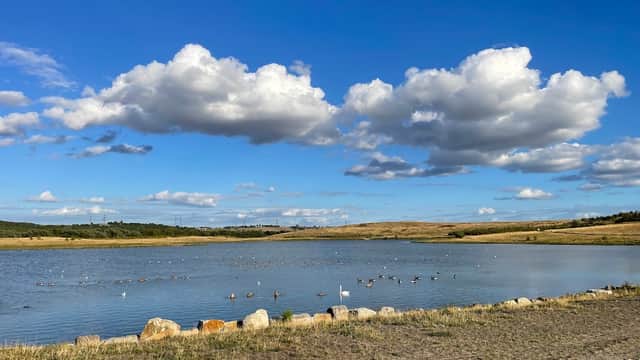 Waverley Lakes & Park - Park in woodhouse