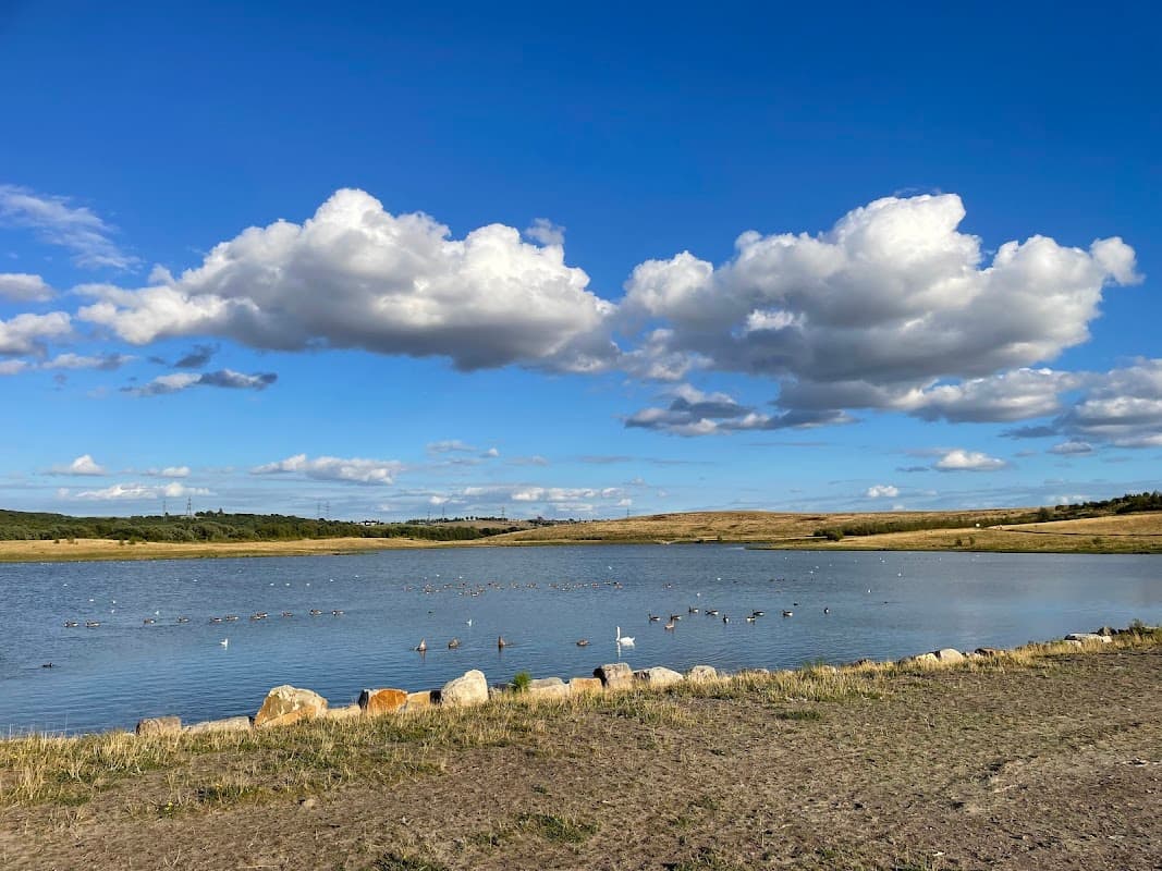 Waverley Lakes & Park