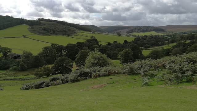 Lush green hills and valleys under a cloudy sky in Glaisdale, Yorkshire, with scattered trees and stone walls.