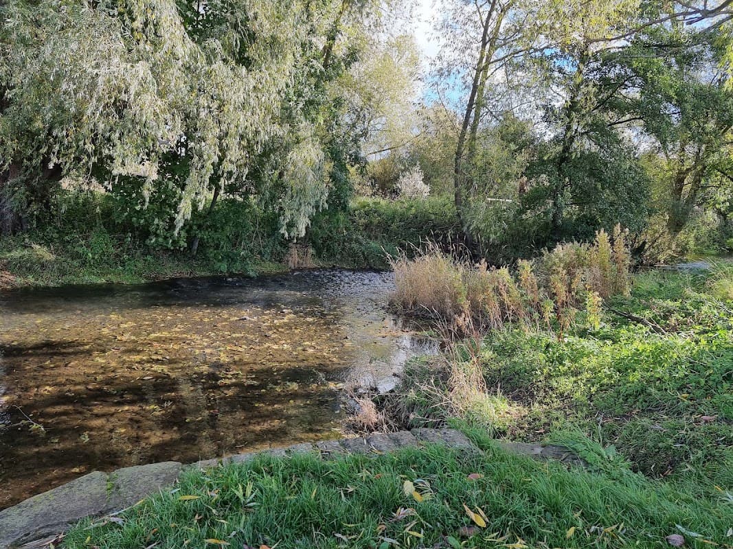 Serene riverbank scene with lush greenery and trees reflecting in calm water at Norby Park, Thirsk.