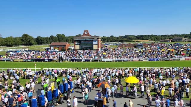 Crowd gathered at Ripon Races under clear blue skies, with colorful umbrellas and a racecourse in the background.