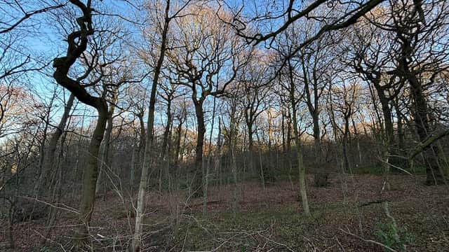Oliver Wood - Park in mirfield