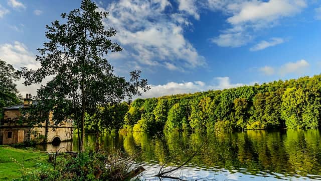 Serene lake surrounded by lush trees under a blue sky with clouds, reflecting on the water's surface.