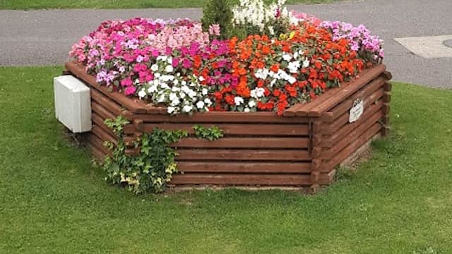 Colorful flower bed surrounded by wooden edging, with a caravan and tent in the background at Springfield Caravan Park.