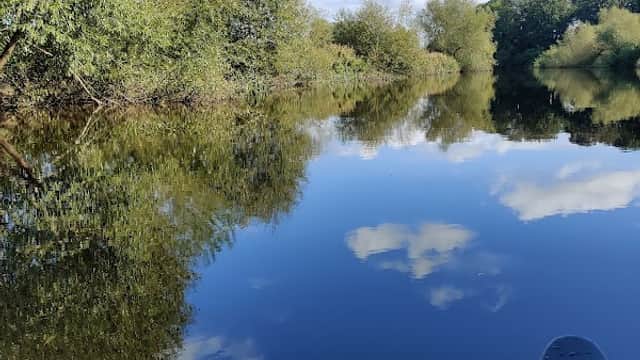 Serene river scene with lush trees reflecting in calm waters under a bright blue sky with fluffy clouds.