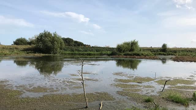 Tophill Low Nature Reserve - Park in leven