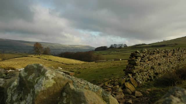 River Mountain Experience - Activity in leeming bar