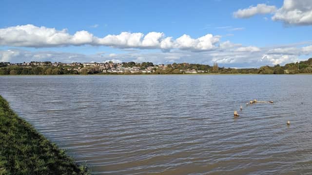 RSPB Dearne Valley - Wombwell Ings - Nature Reserves in wombwell