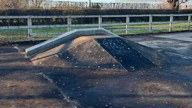 Skate park ramp with a clear blue sky, surrounded by trees and a fence, with fallen leaves on the ground.