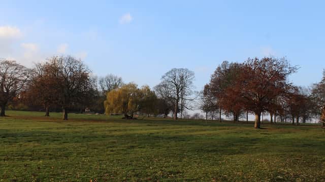Lush green park with scattered trees, some bare and others with autumn foliage, under a clear blue sky.