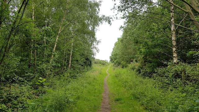 Tinsley Park Woods - Park in darnall