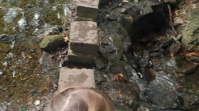 The Wilderness - Park in bradley