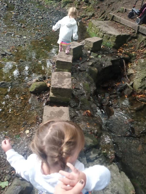 The Wilderness