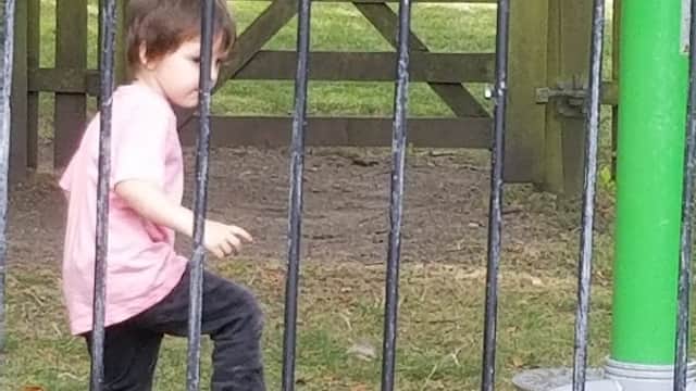 A child in a pink shirt plays on a playground apparatus within a fenced area, surrounded by greenery.