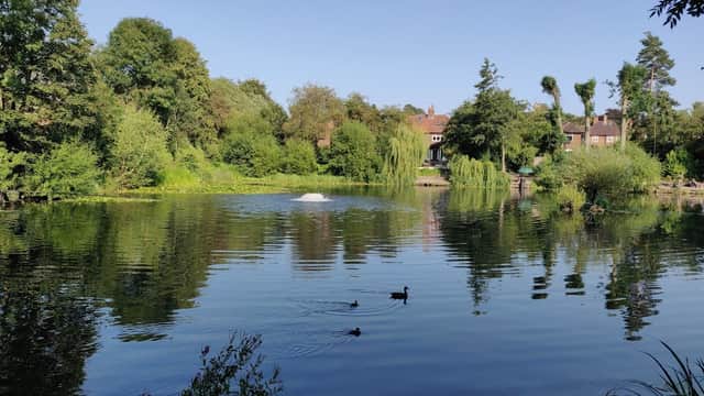 Mayfield Public Open Space - Park in york