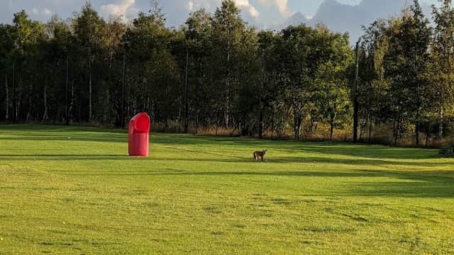 American Golf - Ingleby Barwick - Sports Shops in thornaby