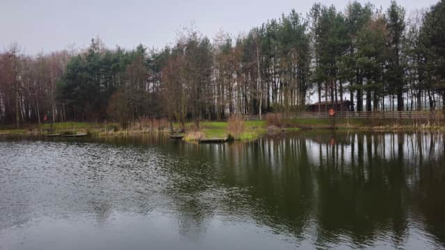 Serene water park with calm lake, surrounded by trees and grassy banks, creating a peaceful outdoor setting.