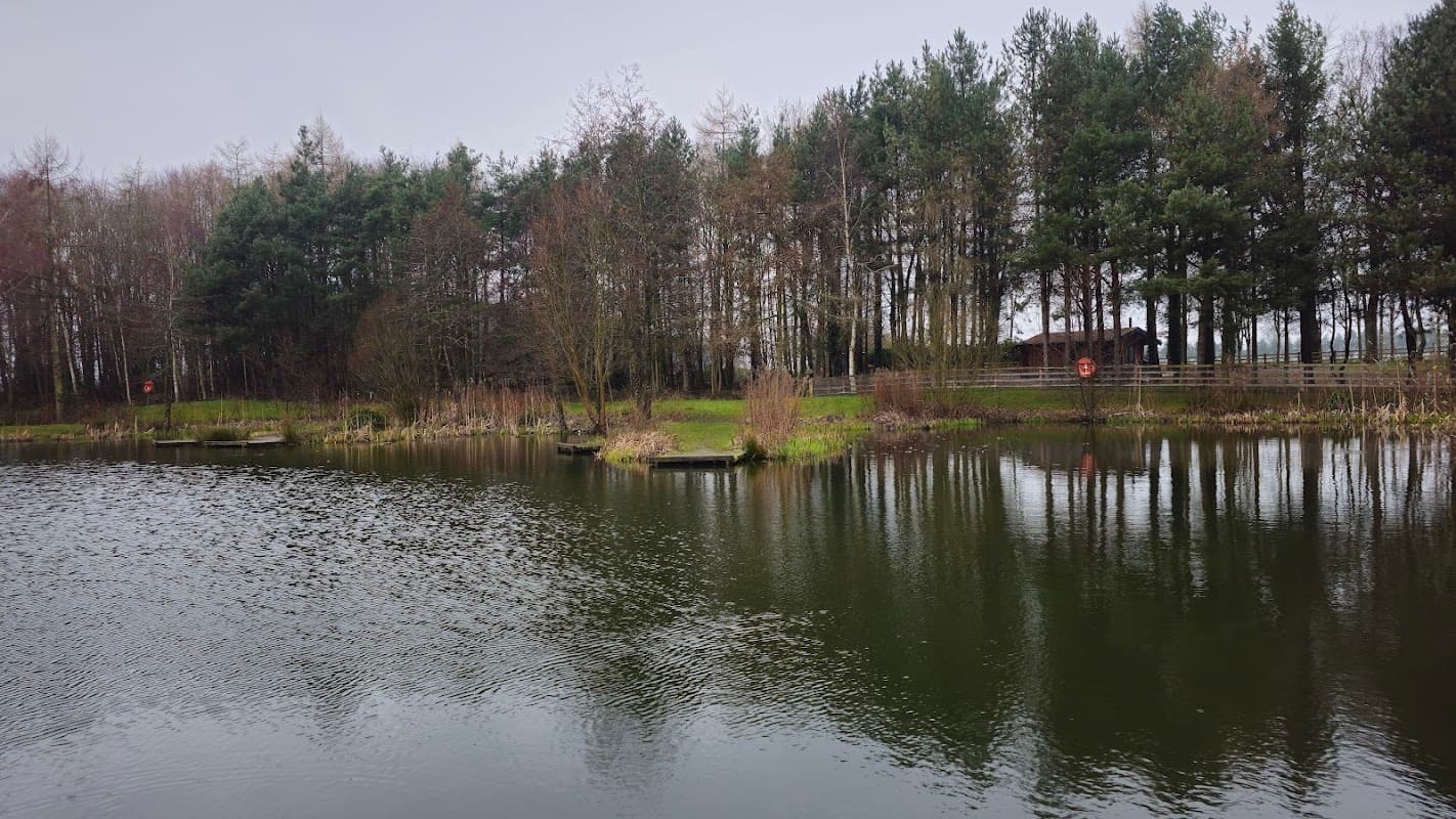 Serene water park with calm lake, surrounded by trees and grassy banks, creating a peaceful outdoor setting.