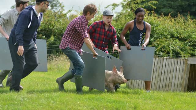 Accommodation at Farm Adventure Activities & Accommodation in warthermarske