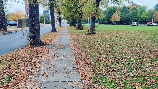 Clairville Common - Park in middlesbrough