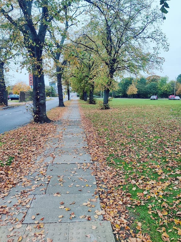 Clairville Common