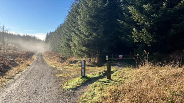 Gravel path leading into a forest, flanked by tall conifer trees and mist, with car park signs visible.
