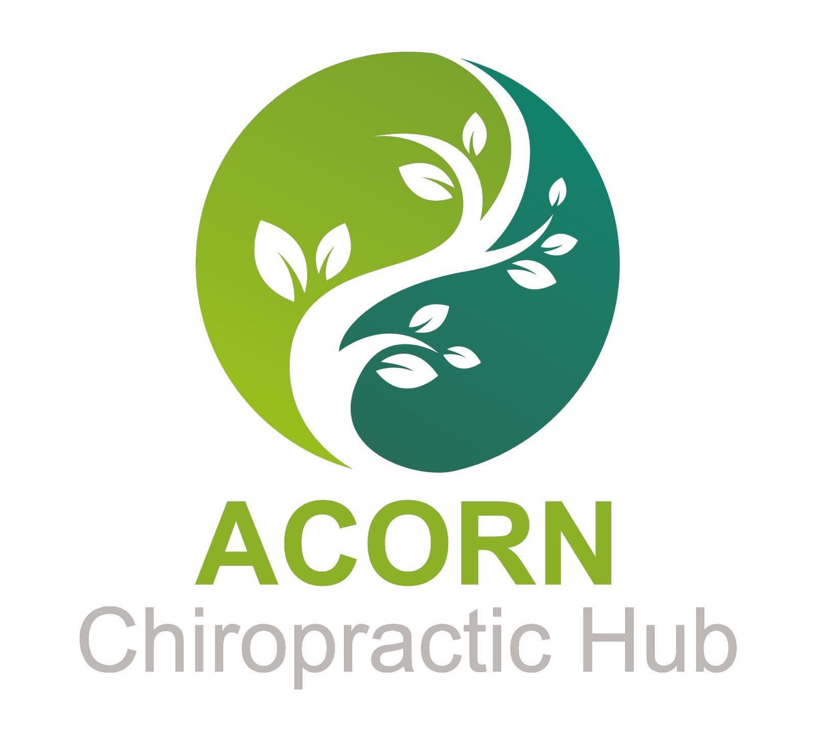 Acorn Chiropractic Hub