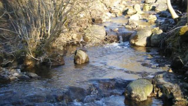 Accommodation at Pennycroft Guest House in kettlewell