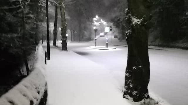 Snow-covered road with streetlights, surrounded by trees, creating a serene winter scene in Walkley, Yorkshire.