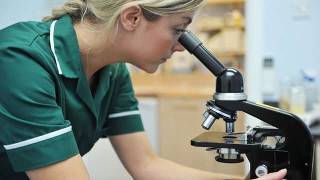Calder Vets Head Office - Vets in wakefield
