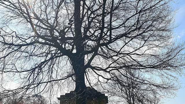 Newhill Park - Park in wath upon dearne