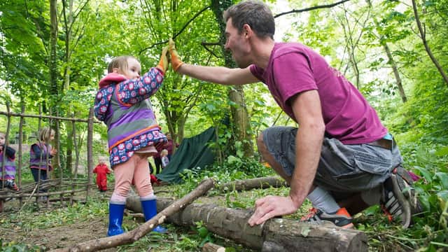 Kenwood Nature Nursery - Nurseries in heeley